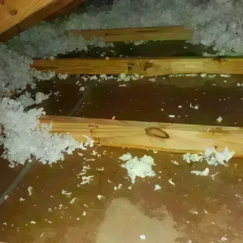 Attic Water Damage in Fairfax, CA