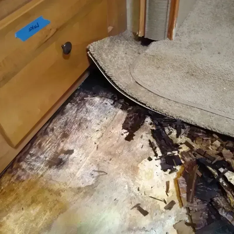 Wood Floor Water Damage in Fairfax, CA